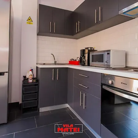 Guest house Matei - *
